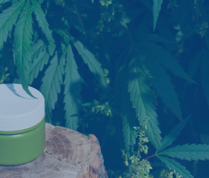 Buy Topical CBD Products