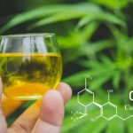 Benefits Of Using CBD For Paget's Disease